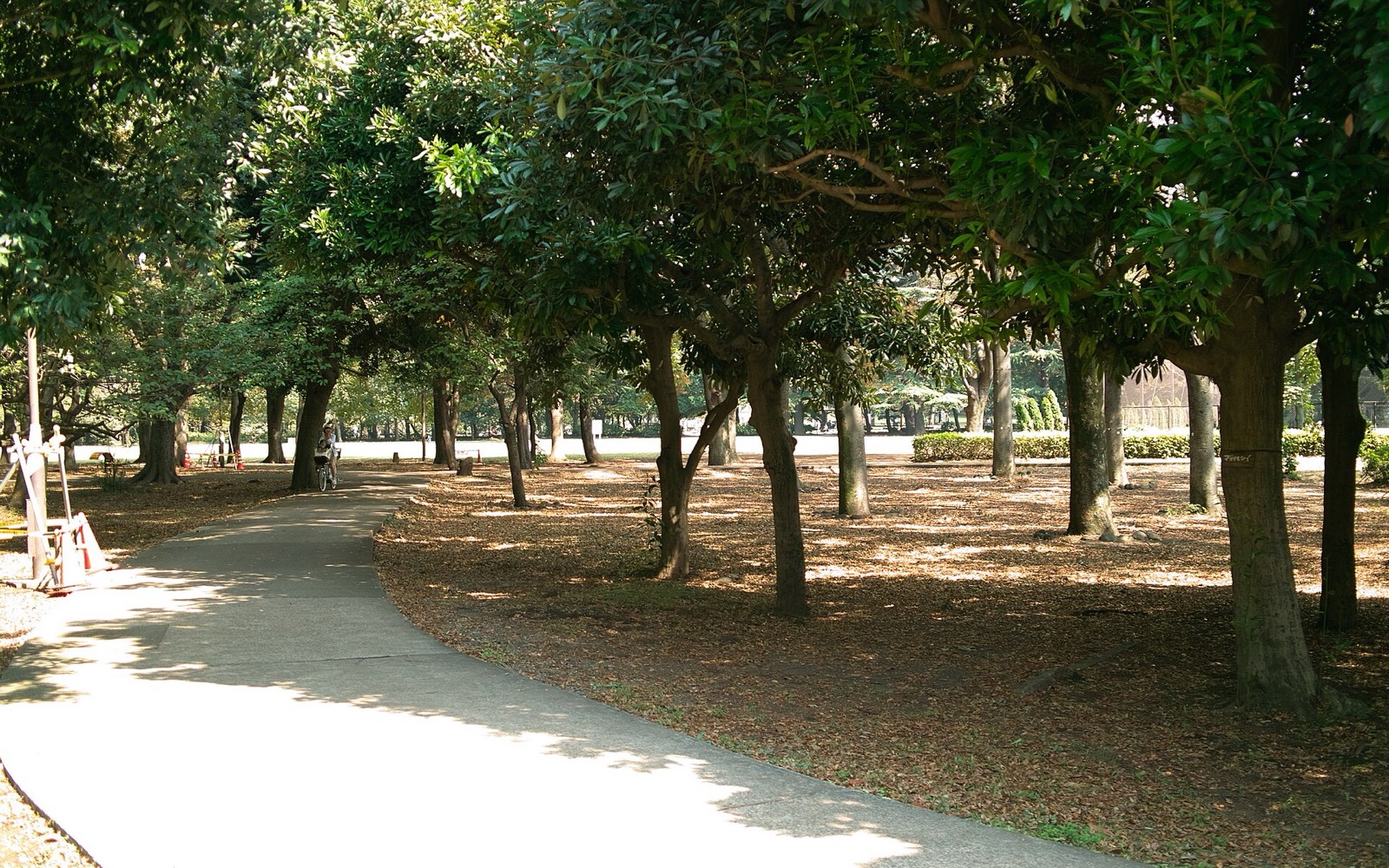 砧公園バーベキュー広場