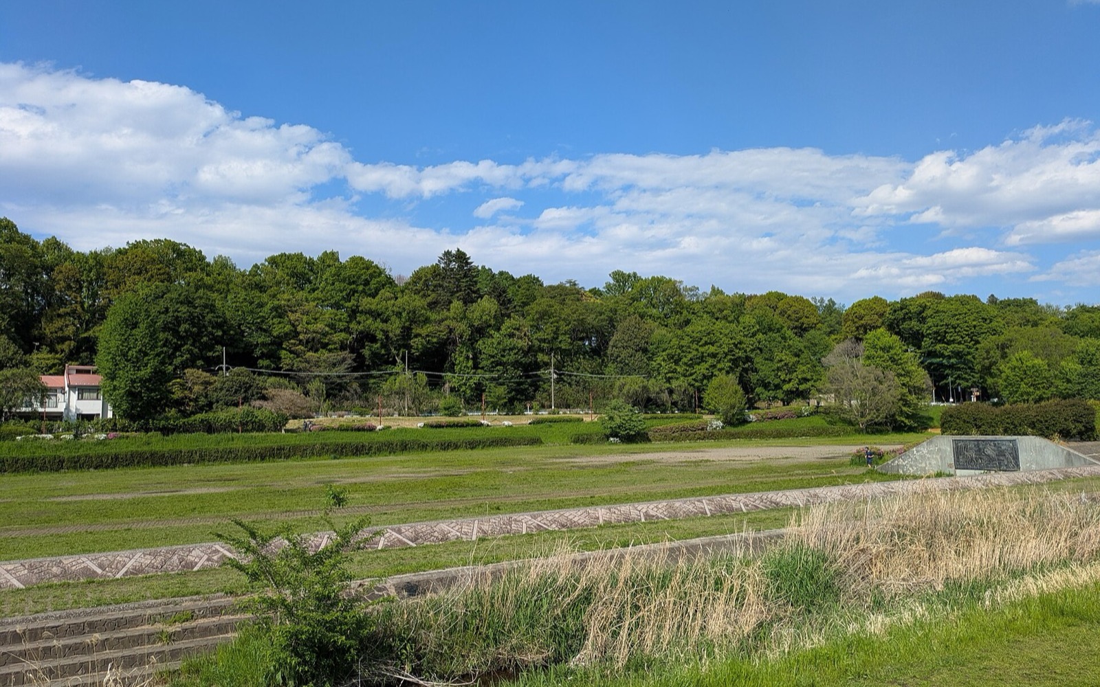 武蔵野公園バーベキュー広場