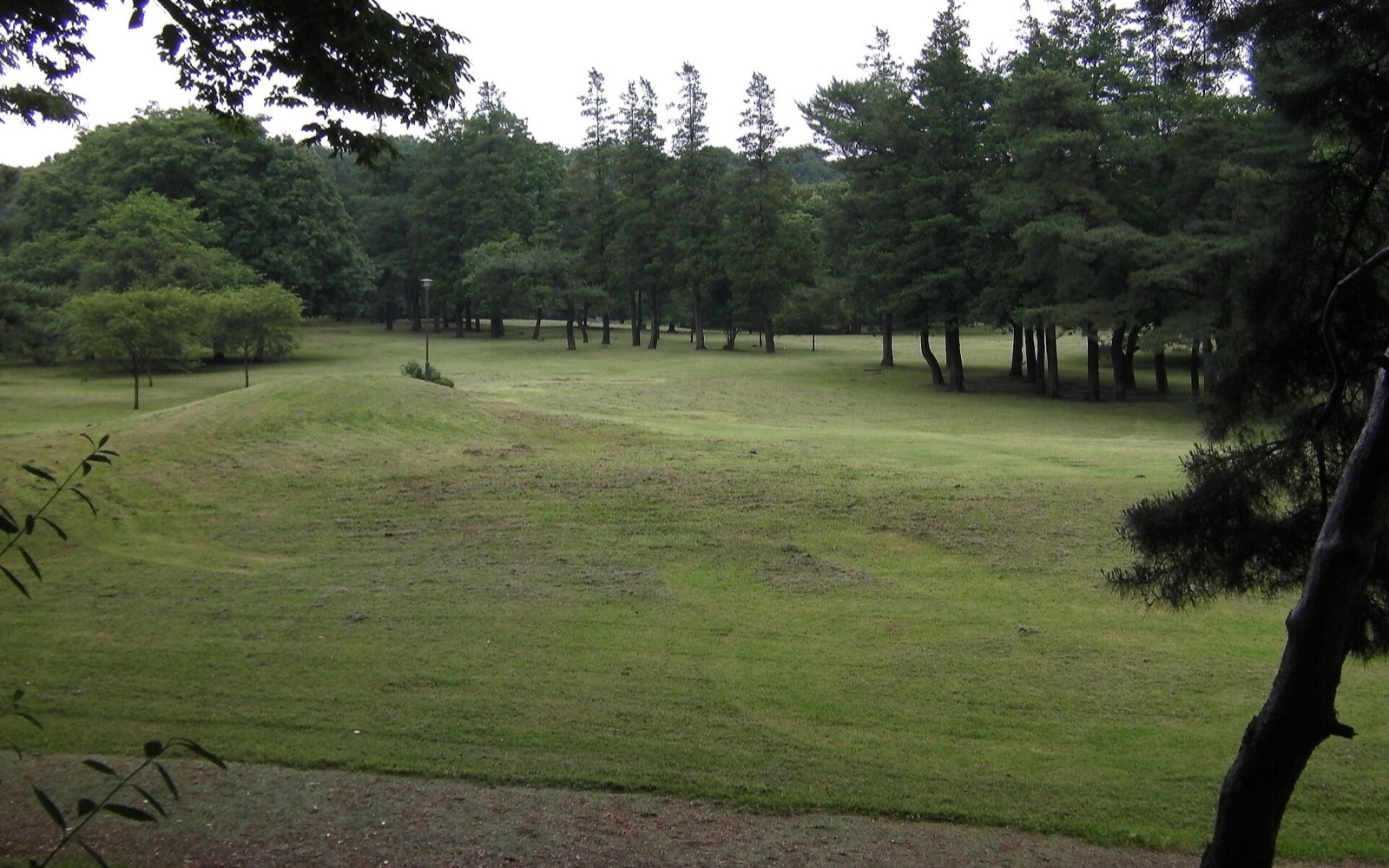 野川公園バーベキュー広場
