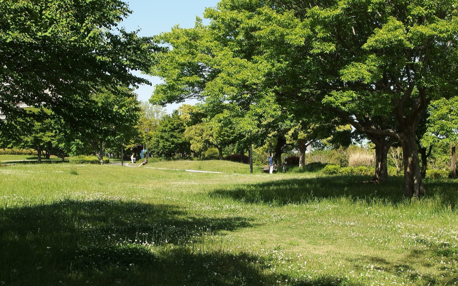 大島小松川公園バーベキュー広場