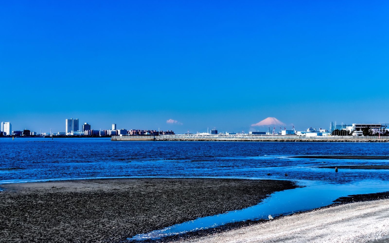 県民の森・ふなばし三番瀬海浜公園 BBQ場