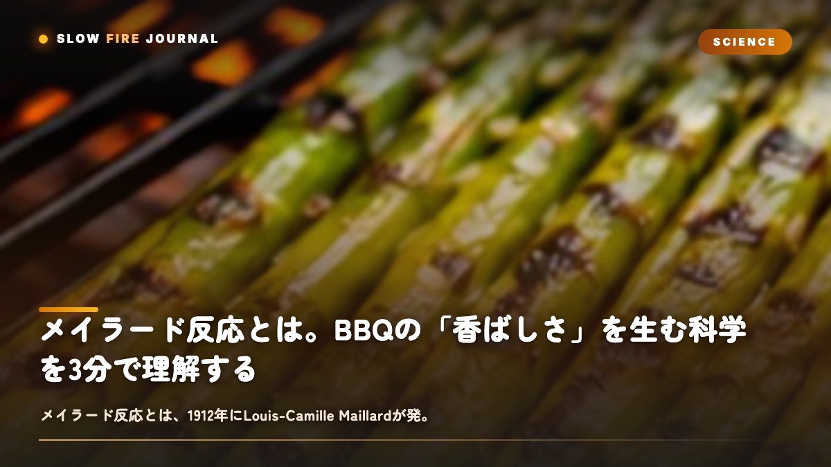 記事サムネイル